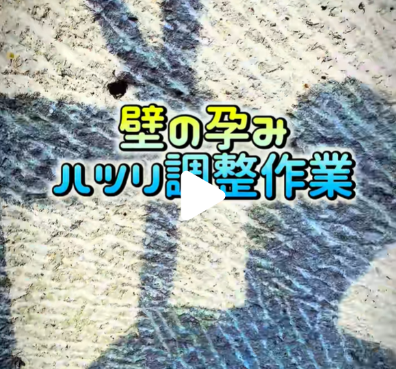 壁のハラミの躯体調整についてのTikTokのサムネ